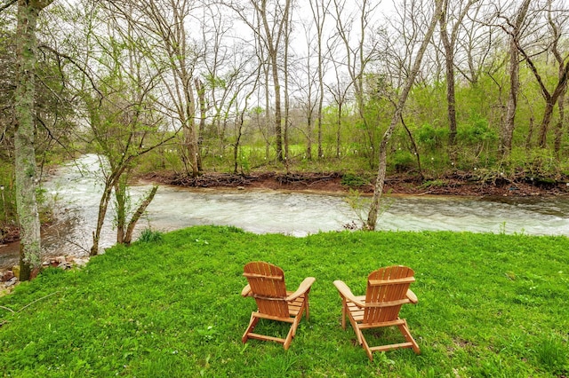 375 Mount Vernon Rd, Bethpage, TN 37022 - view of yard with a water view