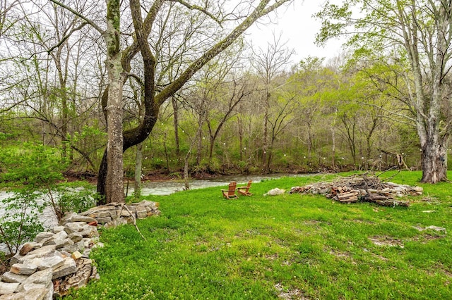 375 Mount Vernon Rd, Bethpage, TN 37022 - view of yard featuring a wooded view