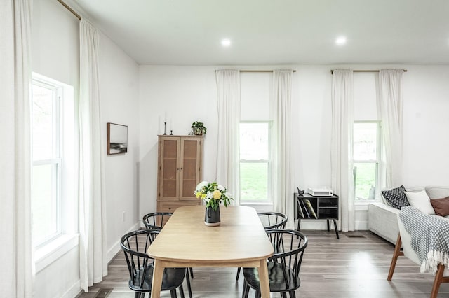 375 Mount Vernon Rd, Bethpage, TN 37022 - dining room featuring baseboards, wood finished floors, and a healthy amount of sunlight