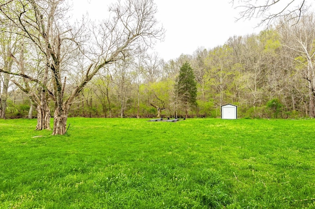 375 Mount Vernon Rd, Bethpage, TN 37022 - view of yard featuring a shed, a forest view, and an outbuilding