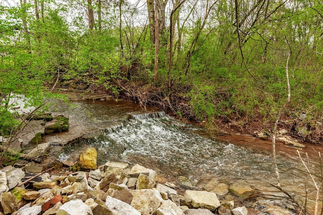 375 Mount Vernon Rd, Bethpage, TN 37022 - view of nature with a wooded view