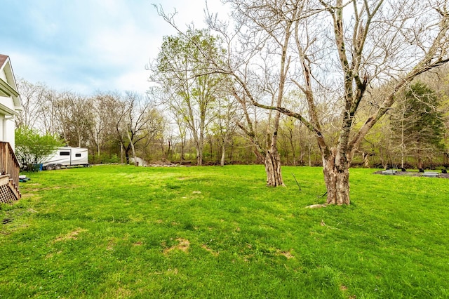 375 Mount Vernon Rd, Bethpage, TN 37022 - view of yard