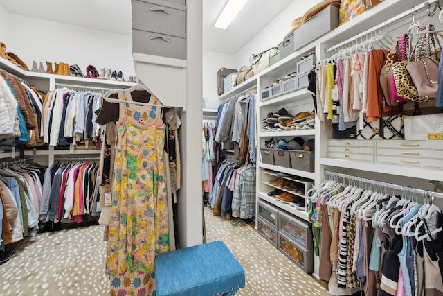 view of walk in closet
