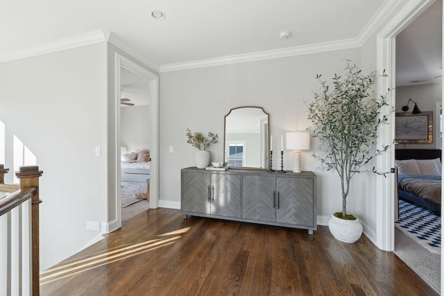 interior space featuring dark wood-type flooring, crown molding, and baseboards
