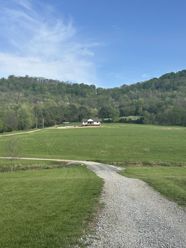 178 Wilburn Hollow Rd, Riddleton, TN 37151 - photo 5