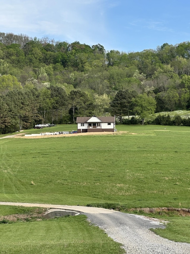 178 Wilburn Hollow Rd, Riddleton, TN 37151 - photo 9