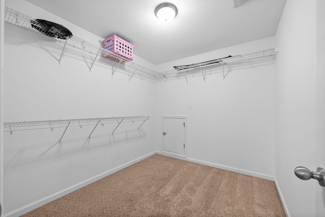 spacious closet featuring carpet floors