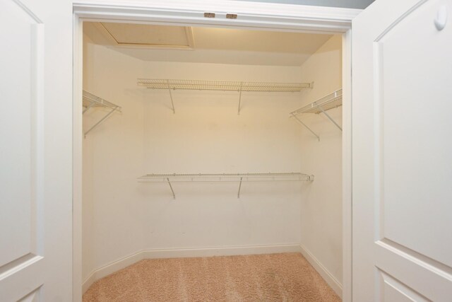 1496 Foxland Blvd, Gallatin, TN 37066 - spacious closet with light carpet