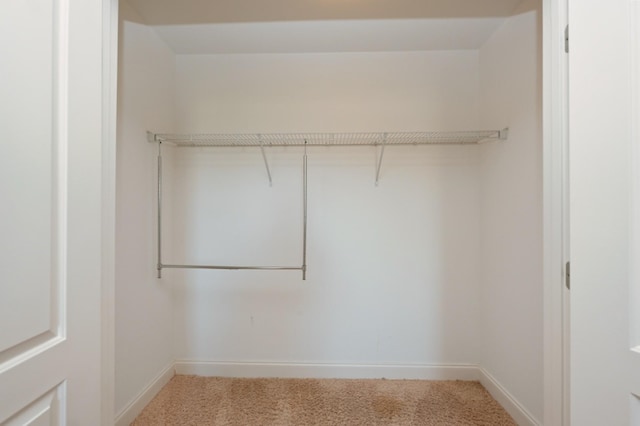 1496 Foxland Blvd, Gallatin, TN 37066 - view of closet