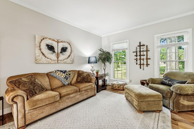 1132 Roseland Dr, Columbia, TN 38401 - living room featuring crown molding, wood finished floors, and baseboards