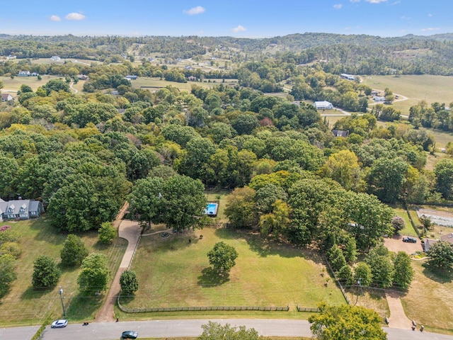 1132 Roseland Dr, Columbia, TN 38401 - drone / aerial view
