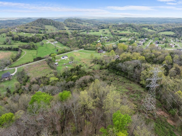 drone / aerial view