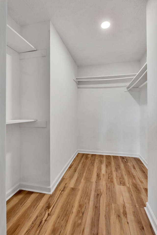 walk in closet featuring wood finished floors