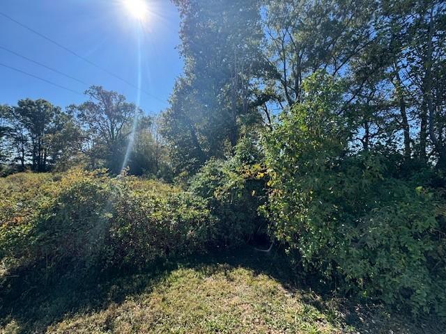 2911 Winchester Hwy, Elora, TN 37328 - photo 24
