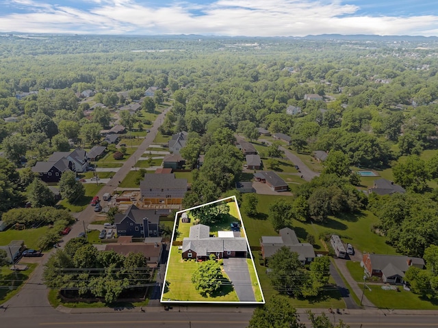 615 Rosebank Ave, Nashville, TN 37206 - photo 56