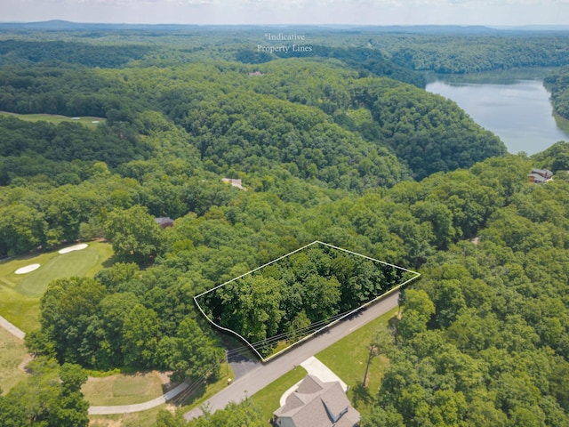 0 Harbor Green Pl, Sparta, TN 38583 - photo 2
