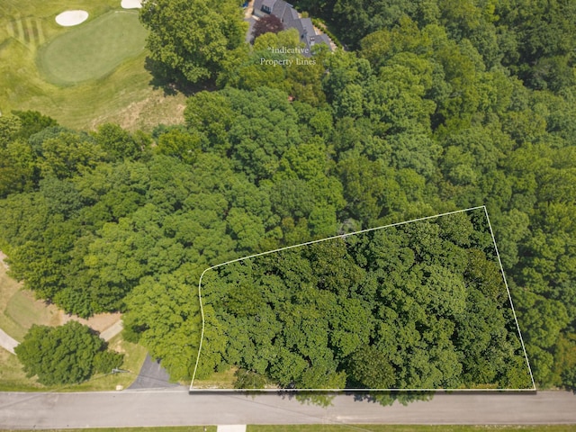0 Harbor Green Pl, Sparta, TN 38583 - photo 5