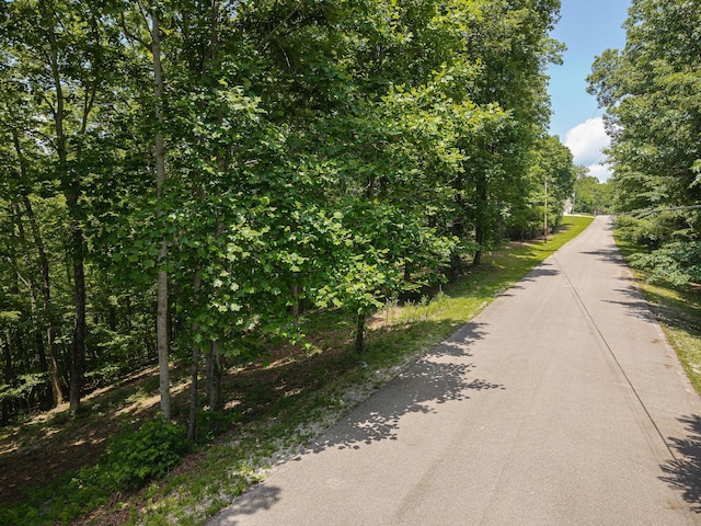 0 Harbor Green Pl, Sparta, TN 38583 - photo 8
