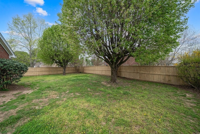 view of yard with a fenced backyard