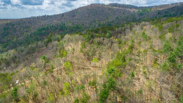 0 Grace Ct, Ellijay, GA 30540 - photo 9