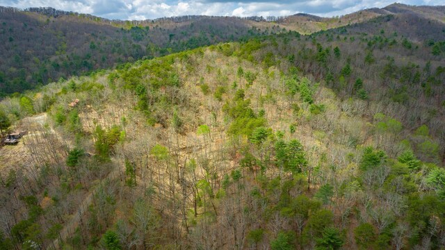 0 Grace Ct, Ellijay, GA 30540 - photo 7