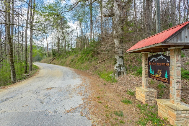 0 Grace Ct, Ellijay, GA 30540 - photo 25