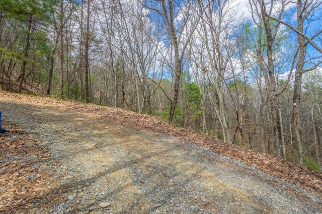 0 Grace Ct, Ellijay, GA 30540 - photo 17