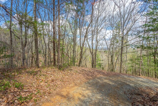 0 Grace Ct, Ellijay, GA 30540 - photo 16