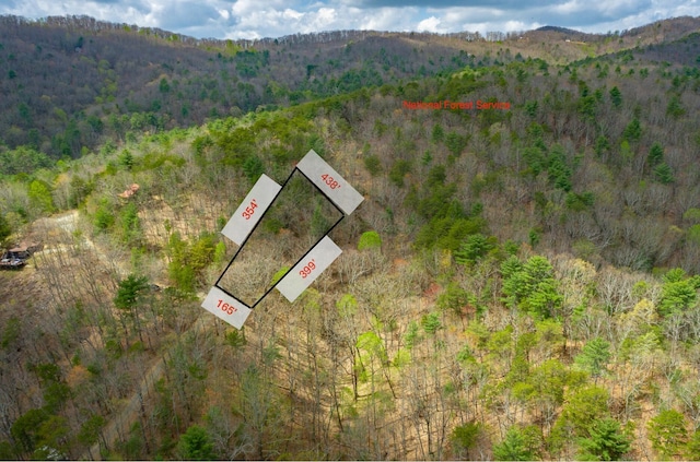 0 Grace Ct, Ellijay, GA 30540 - photo 3