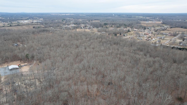 113 Old Huntsville Rd, Fayetteville, TN 37334 - photo 4