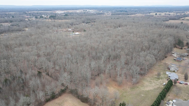 113 Old Huntsville Rd, Fayetteville, TN 37334 - photo 6