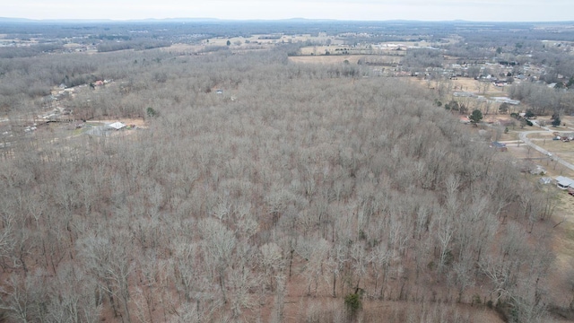 113 Old Huntsville Rd, Fayetteville, TN 37334 - photo 5