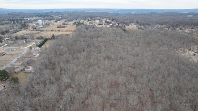 113 Old Huntsville Rd, Fayetteville, TN 37334 - photo 1