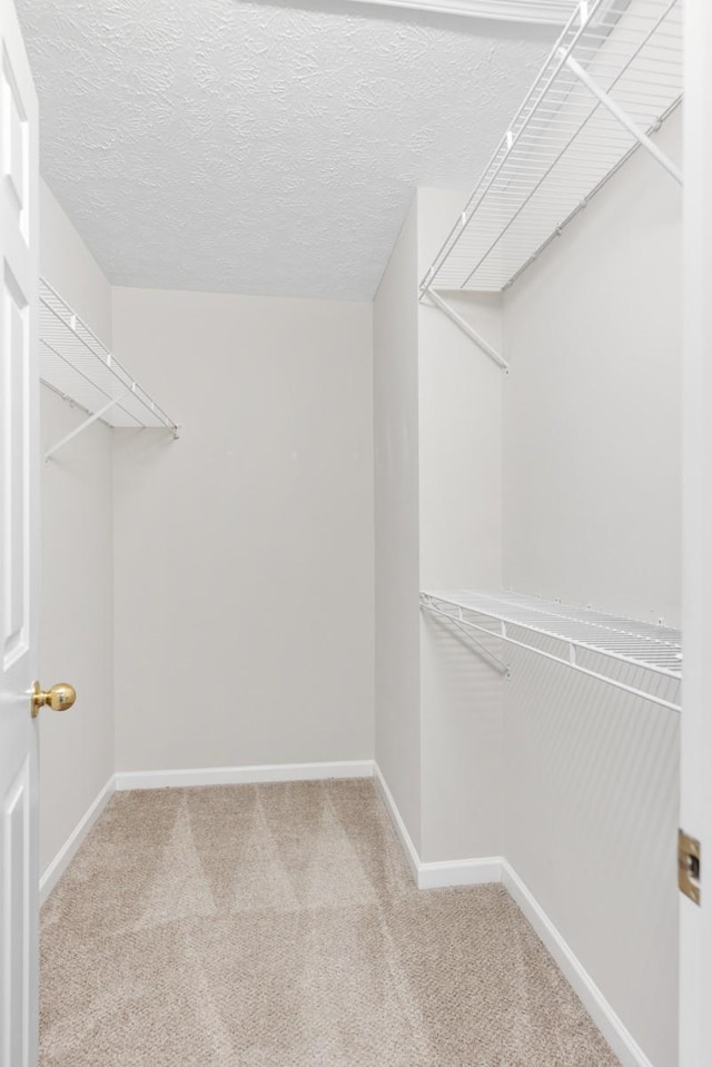 spacious closet with carpet floors