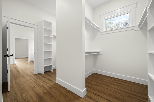 walk in closet featuring dark wood-style floors