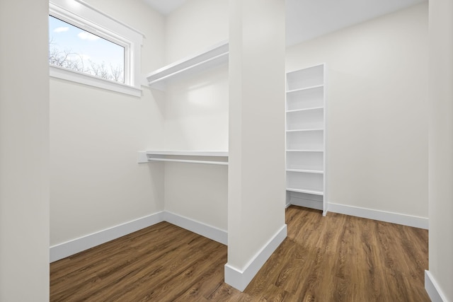 walk in closet with wood finished floors