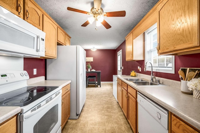 kitchen featuring white appliances, light countertops, a textured ceiling, a ceiling fan, and a sink