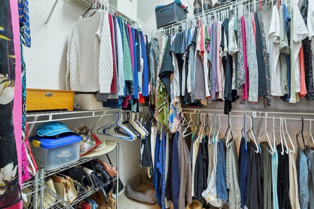view of walk in closet