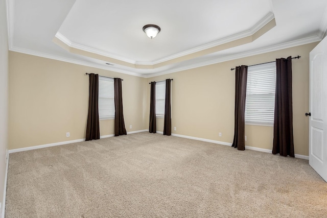 spare room featuring baseboards, a tray ceiling, crown molding, and carpet floors