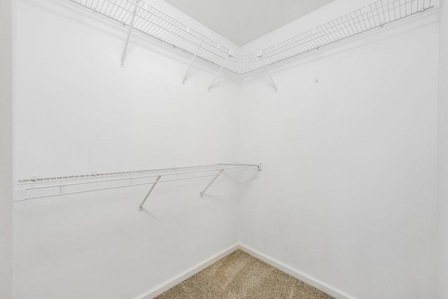 spacious closet featuring light colored carpet