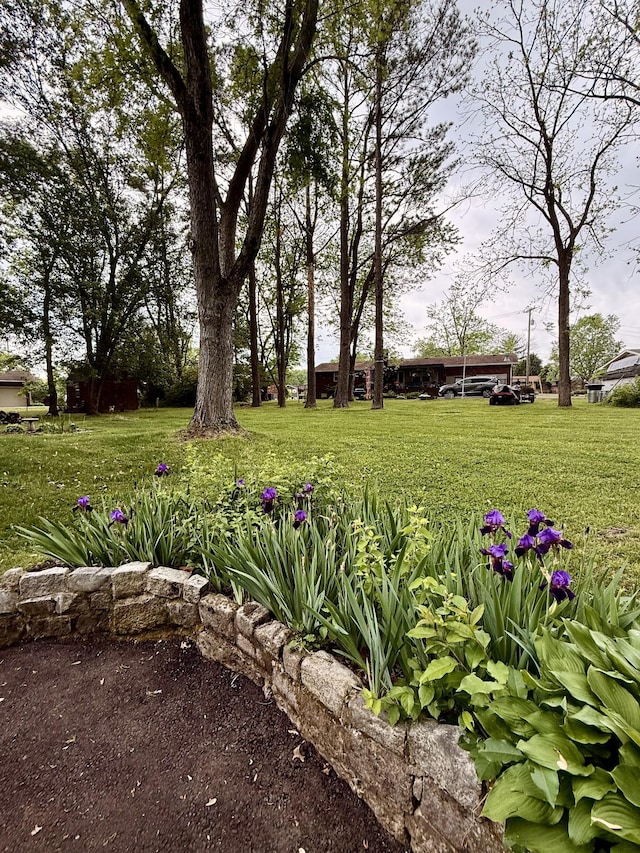 104 Homestead Ct, Hendersonville, TN 37075 - photo 32