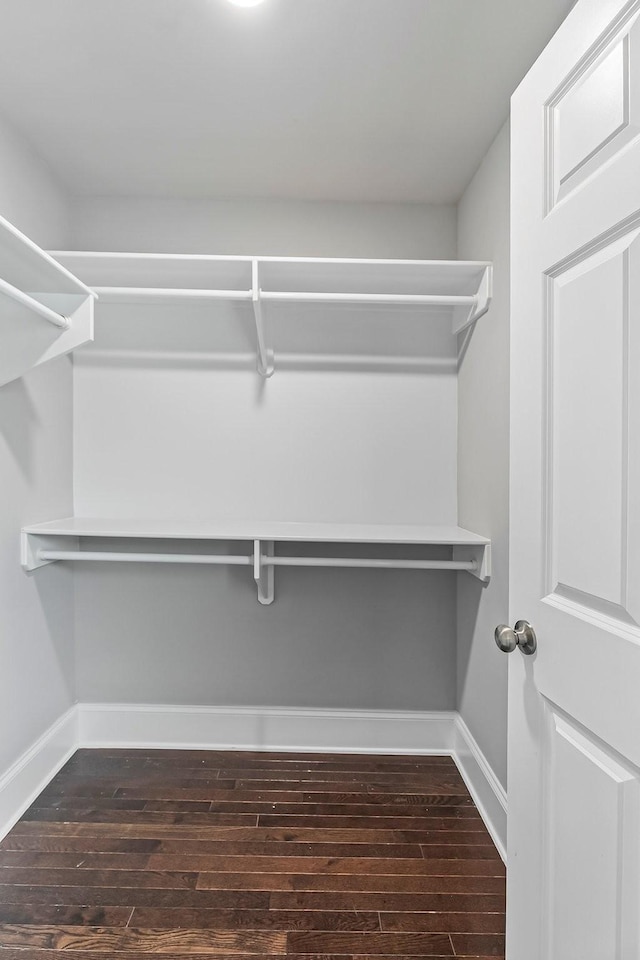 434 Caldwell Dr, Columbia, TN 38401 - spacious closet with dark wood-type flooring