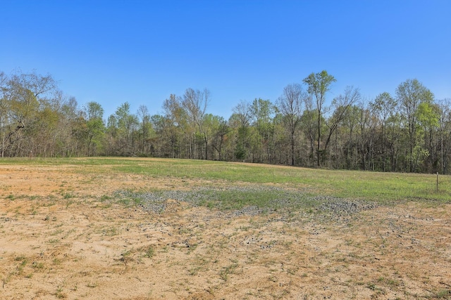 132 Amos Cir, Lafayette, TN 37083 - view of tree filled area