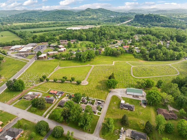 604 College Ave E, Carthage, TN 37030 - photo 60