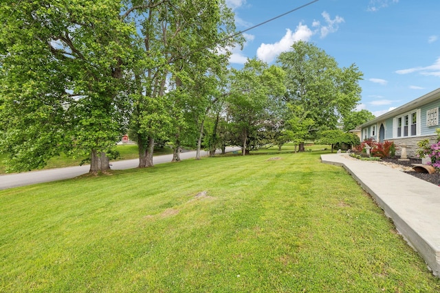 604 College Ave E, Carthage, TN 37030 - photo 6