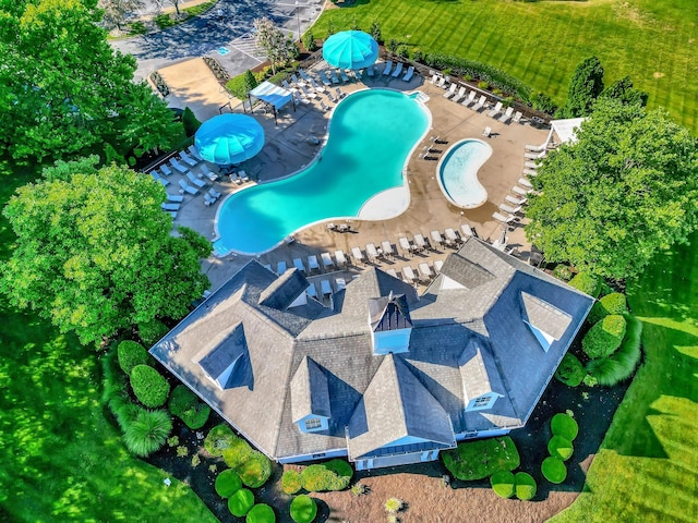 bird's eye view