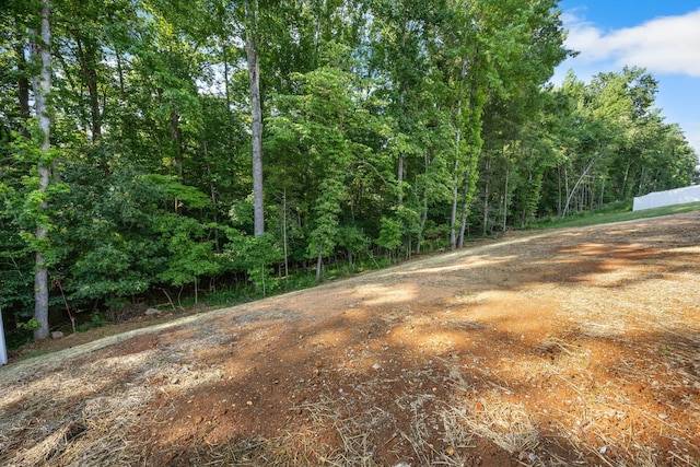1251 Boulder Pass Rd, Clarksville, TN 37040 - photo 32