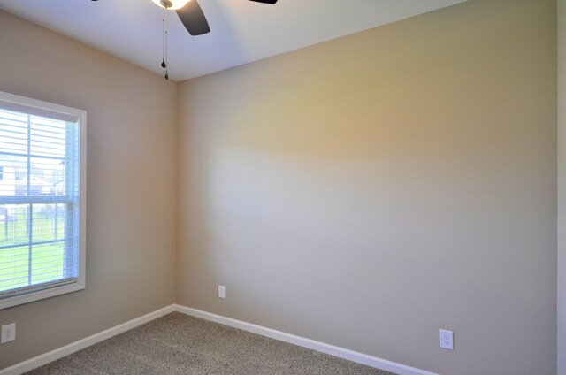 529 Castle Pinckney Ln, Clarksville, TN 37042 - photo 25