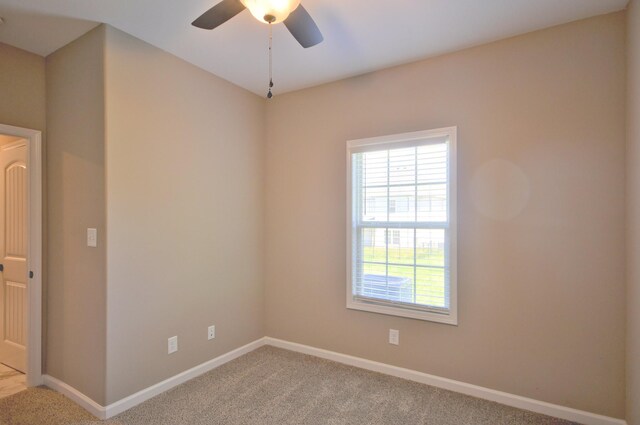 529 Castle Pinckney Ln, Clarksville, TN 37042 - photo 26