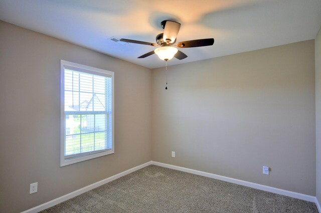 529 Castle Pinckney Ln, Clarksville, TN 37042 - photo 56